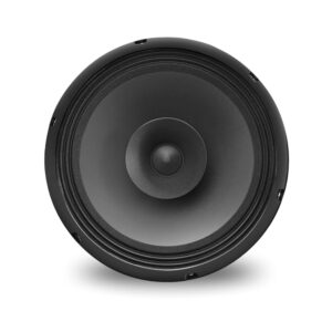 10″ Inch Full-Range Speaker 150W Max Impedance 8 Ohms Dual Cone 120x17mm Heavy Magnet Copper Coil (4)