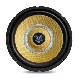 10″ Infinity Series Subwoofer (1)