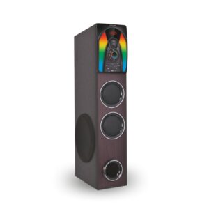 TT-5207 Tower Speaker With 5.25 Woofer 3X2 Speaker. (1)